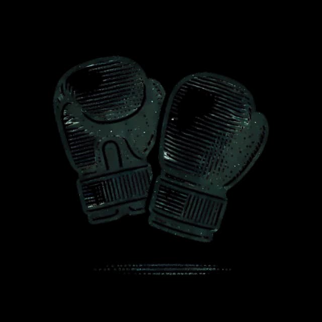 FIGHTER'S STORY